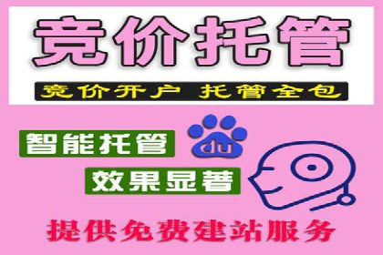 提升网站流量：SEO在百度推广的实战案例